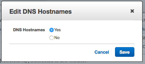 Edit DNS Hostnames