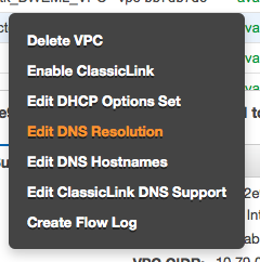Enable DNS Resolution
