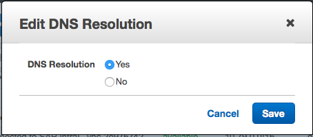 Edit DNS Resolutions